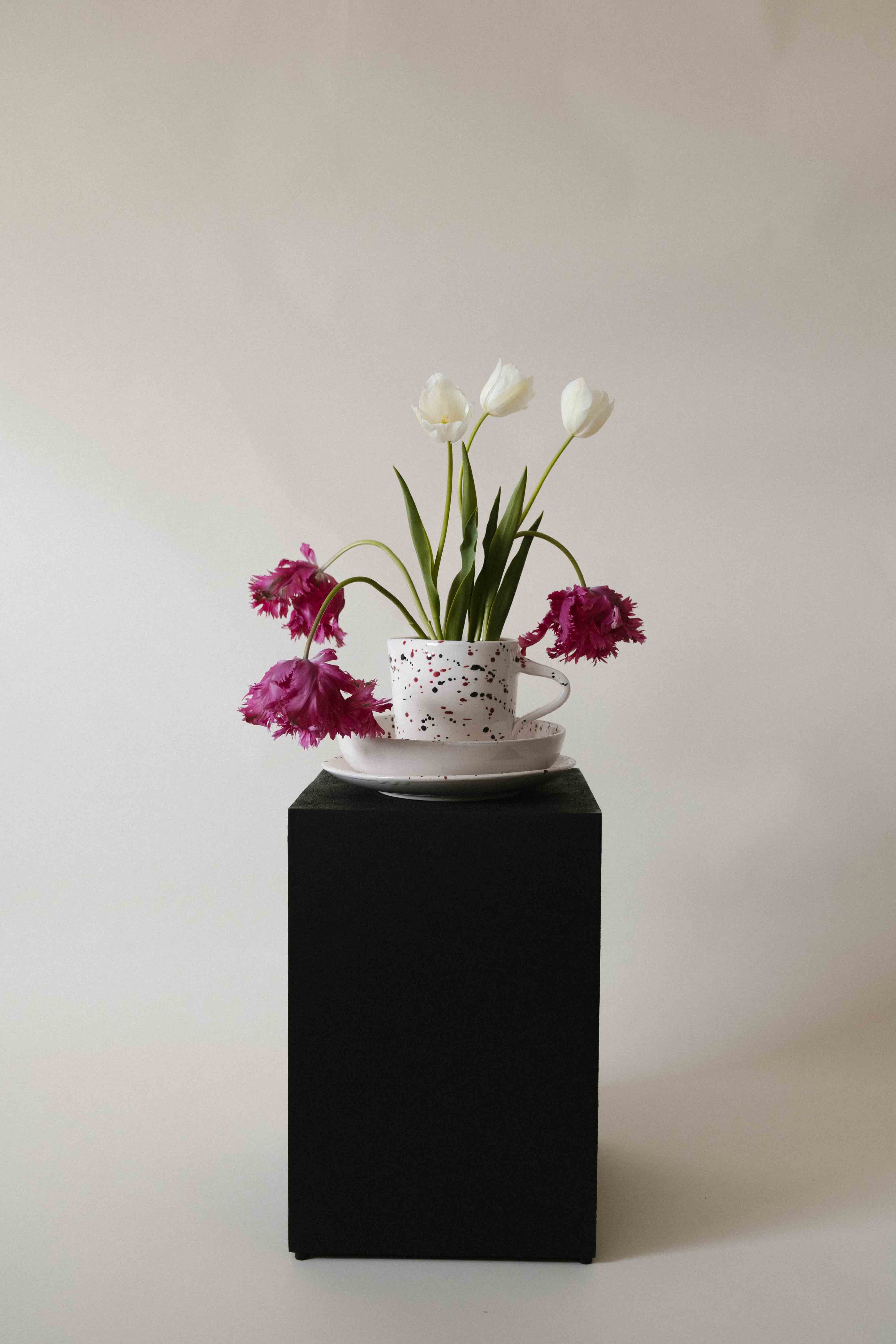 Especial día de la madre