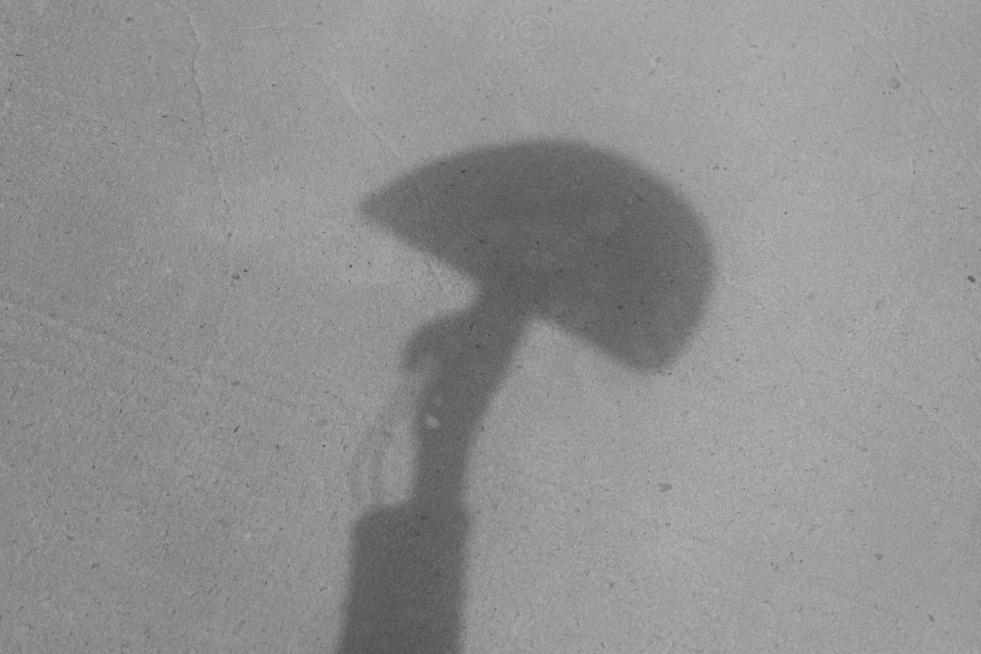 The-Alameda-Collection-BW-H-138.jpg__PID:eae6096e-5ecf-4d52-af7b-f0e4a5c01f93